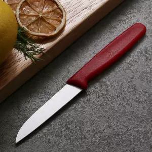 스위스 라운드 민과도 과일칼