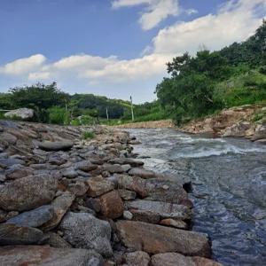 [경북] 영주 테라피민박(경북, 영주)