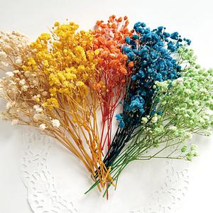 드라이플라워 미술 보존화 키트 프리저브드 플라워 재료 안개꽃