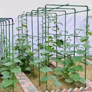 넝쿨 지지대 덩굴 고추 오이 식물지지대 작물 고정 토마토 프레임