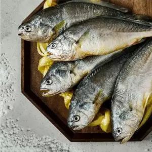 국산 영광 법성포 참굴비 1.2kg 20미 2세트 선물포장