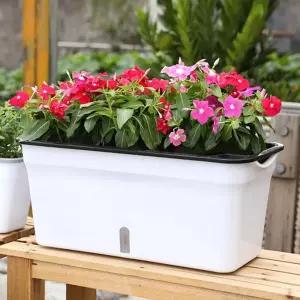 초록가든 자동급수 화분/화분/꽃집/심플한/물주기/기르기/식물/귀여운/파종/관찰/야채/체험/농작물/학습