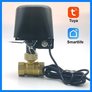 Tuya Zigbee WIFI 스마트 워터 밸브 DN15 DN20 DN25 홈 자동화 제어 수도꼭지 타이머 지원 Alexa Google As