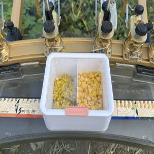 투인원 떡밥그릇 민물 낚시 떡밥통 미끼 밑밥 통 그릇 붕어 중층 내림 바닥