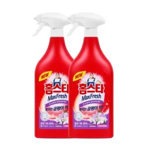 홈스타 뿌리는곰팡이싹 곰팡이제거제 900ml 2개