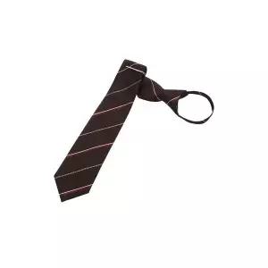 [하프클럽/BY파크랜드]와인 심플 레지멘탈 슬림 자동타이-A5NZ2310246A