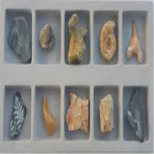 [더원사이언스] 한솔 화석 표본 I (10종세트)/화석표본/표본류/과학교구/과학영재