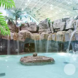 (로시즌) 캐리비안베이 이용권(4/18~5/28)