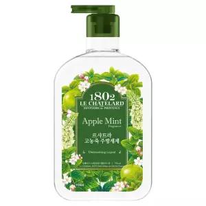 (1+3) 고농축 주방세제 애플민트향, 750ml, 1개 4Set