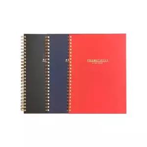 프로메테우스 스프링노트 (Letter/좌철/80매/색상랜덤/옥스포드)