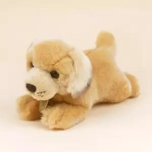 미요니 골든 리트리버 강아지 인형 19cm 애착인형 KDt7+5vmo