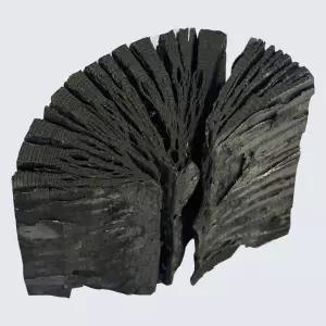 참숯 (국산 백탄)생활숯 정제 간장숯 밥 물정화 탈취 pAP1+3zjL