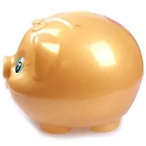 [문구/오피스] 돼지저금통 돼지저금통 선물 마키황금 마키저금통 팬시 저금통 황금돼지 왕대 -T2