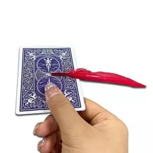 [하프클럽/알티피아]제이엘 무빙패들 깃털마술 카드마술