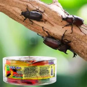 해피데이 애완곤충용젤리 영양간식