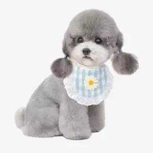 OH 라워도트 반려동물 스카프