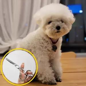 스텐레스 미용 이발 숱치기 틴닝가위