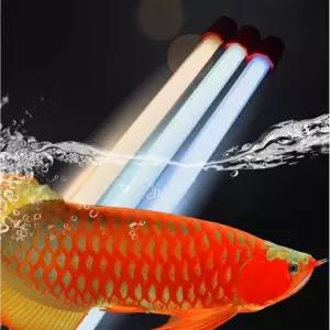 홍용 태닝등 어항 특수 해수 컬러 홍용태닝등 수족관 램프