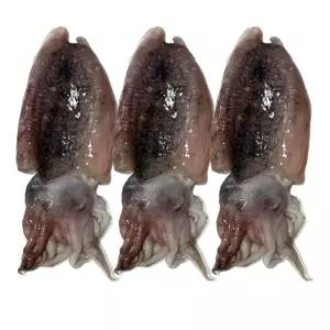 대한민국최저가 국내산 냉동 손질 갑오징어 꼬마 500g 득템찬스