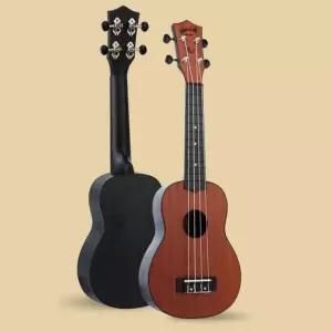 소소미 우쿨렐레 악기배우기