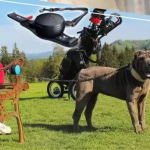 [반려] 리드줄 블랙 자동줄 강아지 핸즈프리 산책 워킹줄 1P