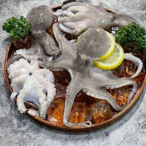 본연채 산지직송 활쭈꾸미 제철 생물 주꾸미 1~3kg