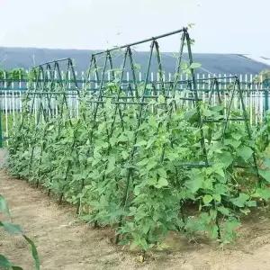 원예용 지주대 토마토 텃밭 지지대 넝쿨망 식물 거치대 화단 야채 넝쿨식물 관리용품