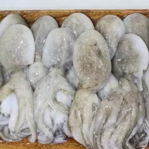 대한민국최저가 냉동 쭈꾸미 2kg 득템찬스