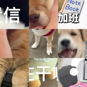 랜딩 기어 퀵 릴리스 확장 브래킷 접이식 다리 연장 장치 DJI호환 AIR 3S 3 드론용