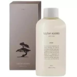 테일러센츠 실내 디퓨저 광주요 소나무 매병 리필 SET