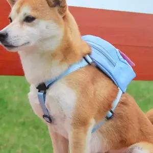 [골드스마일]강아지 PET 유치원 산책 리드줄 하네스 가방 백팩