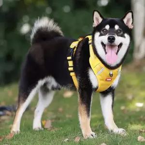 [골드스마일](modoo) 초경량 옥스포드 손잡이 하네스