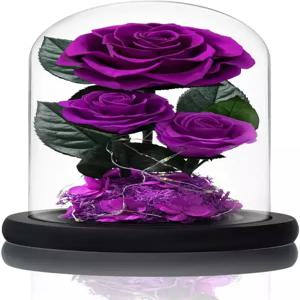 브라이블로스 3 프리저브 플라워 로즈 인 글래스 돔과 아름다움을 위한 라이트 포 뷰티 비스트 데코 리얼