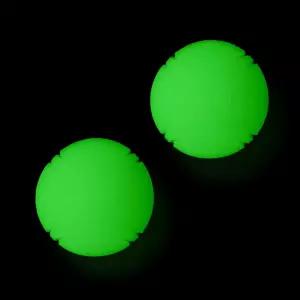 비탈릴리 2 PCS 빛나는 페치볼 - 고무 개 장난감 공 높은 바운스 씹기 저항성 60파운드 미만 벨기에 말리노