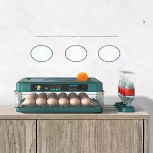 부화기 달걀 알 가정용 미니 계란 메추라기 유정란 조류 병아리 메추리 스마트 병아리육추기