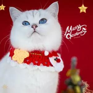 크리스마스 애완동물 스카프 모자 넥케이프 세트 턱받이 케이프