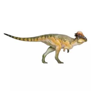 피규어 파키케팔로사우루스 공룡 대형 백악기 생일선물