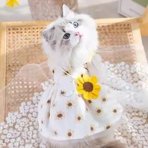 [반려] 원피스 카라 강아지 패턴 해바라기 의상 소형견