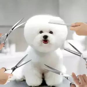 [반려] 세트 반려동물용 셀프 가위 3종 커팅 도구 미용 안전