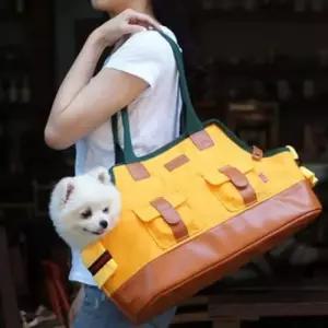 [반려] 이동장 이동가방 외출가방 산책가방 강아지 패리스독