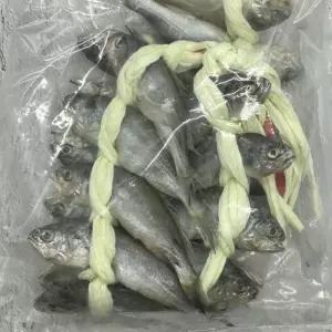 국내산 참조기 굴비 40미