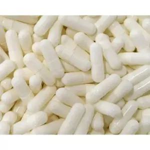 약캡슐 약950개 공캡슐 택1 알약 가루약 빈캡슐 반려동물