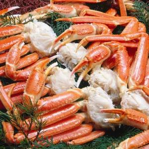 수율 좋은 특A급 활대게를 어획 즉시 자숙! 프리미엄 대게 스노우크랩 5KG 5L 특대사이즈