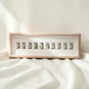 이지심플 오크색 증명사진 성장 액자 10칸