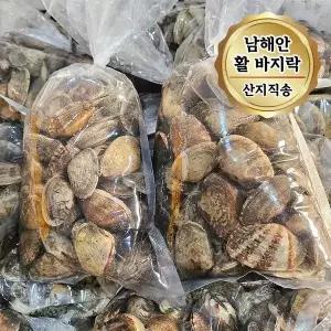 당일조업 남해안 활 바지락 대사이즈 2kg (1kg 당 65~80미)