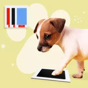 인기 네모도장 발도장찍기 스탬프 발도장액자 아기발바탬프 발도장 신상품