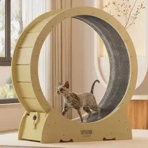 놀이터 캣휠 무소음 운동기구 캣타워 다이어트 인스타