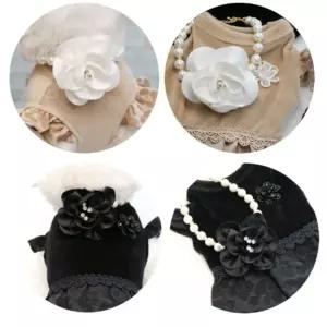 코아허니 A08G 청담 며느리 사지 진주 목걸이 강아지