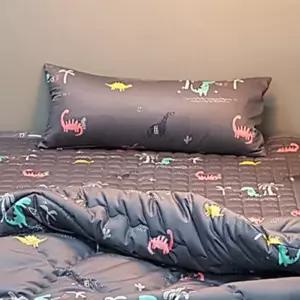 공룡베개커버 알록달록 아이배게깔끔한배게커버 바디필로우 귀여운배게 캐릭터배게 배게 학생배게 키즈배게