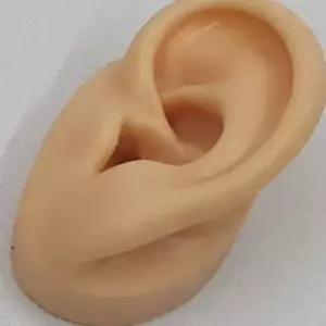 실리콘 귀모형 왼쪽 걸이전시 가짜 모양 양교육용 피어싱 용형 인체